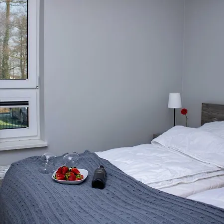 公寓 Z Ogrodkiem *